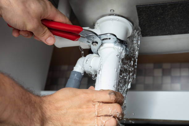 Best Local water damage restoration  in Masonville, KY