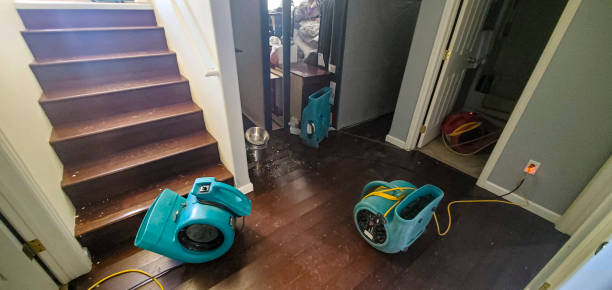 Best Emergency water damage restoration  in Masonville, KY