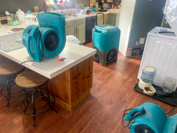 Best Professional water damage repair  in Masonville, KY