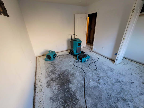 Best Water damage contractors near me  in Masonville, KY