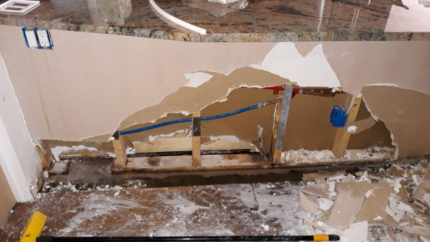 Best Local water damage restoration  in Masonville, KY