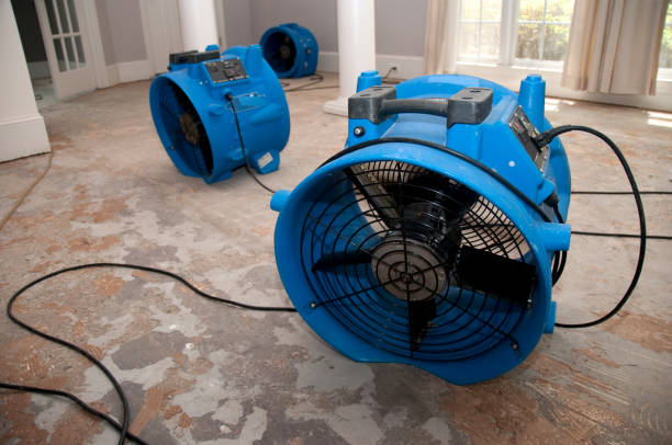 Best 24-hour water damage restoration  in Masonville, KY