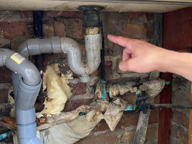 Best Sewage cleanup and water damage restoration  in Masonville, KY
