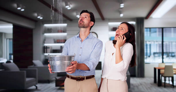Best Mold removal after water damage  in Masonville, KY