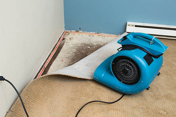 Best Water damage restoration near me  in Masonville, KY